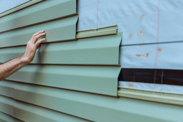 Best Steel Siding Installation  in Meadow Vale, KY